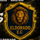 team_shield