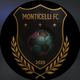 team_shield