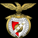 team_shield