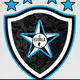 team_shield