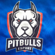 team_shield