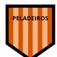 team_shield