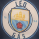 team_shield