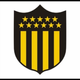 team_shield