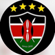 team_shield