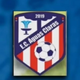 team_shield