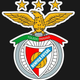 team_shield