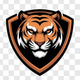 team_shield