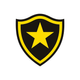 team_shield