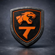 team_shield