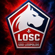 team_shield