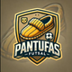 team_shield