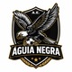 team_shield