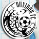 team_shield