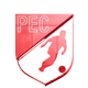 team_shield