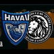 team_shield