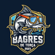 team_shield