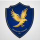 team_shield