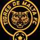 team_shield