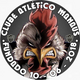team_shield