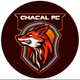 team_shield