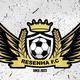 team_shield