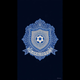 team_shield