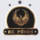team_shield