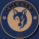 team_shield
