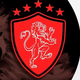 team_shield