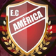 team_shield