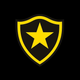team_shield