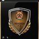 team_shield