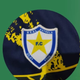 team_shield