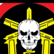team_shield