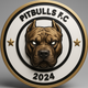 team_shield