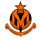 team_shield