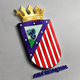 team_shield