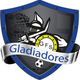 team_shield