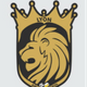 team_shield
