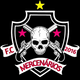 team_shield