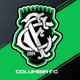 team_shield