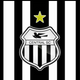 team_shield