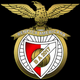 team_shield