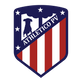 team_shield