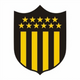 team_shield
