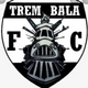 team_shield